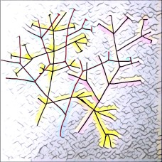 Co-evolution by Janine Morley